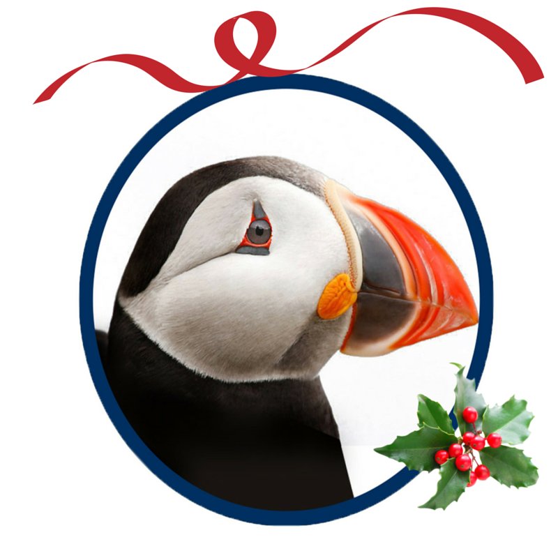 Doolin2Aran's tweet photo. Sail through your Christmas list with 20% off sailings to Aran Islands  &amp; Cliffs of Moher Cruises. Use promo code cruise20 to avail of this discount off vouchers. Book Now-https://t.co/MCQ1wHU5wa  #easypresent #everyonelovesavoucher https://t.co/OT6wHDrOSi