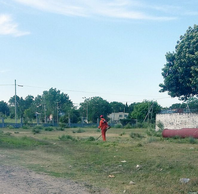 vivi_torcuato's tweet photo. APOYO A INSTITUCIONES | Limpieza y Corte de Pasto en Triunvirato y Alberdi #EEST4 #Aviación #Torcuato_Este @ZamoraJulio @jmpaesani https://t.co/AL43Q9xNkt