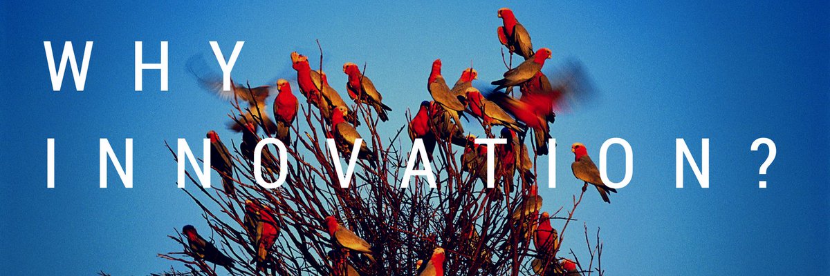 UNDPasiapac's tweet image. A global disaster loss and damage database dramatically improves how well we respond to future disasters. Find out how we’re using #tech4good to improve lives over a year after the #Nepal Earthquake. #Ino4Dev #InnovateAsiaPac bit.ly/2ALCfXv