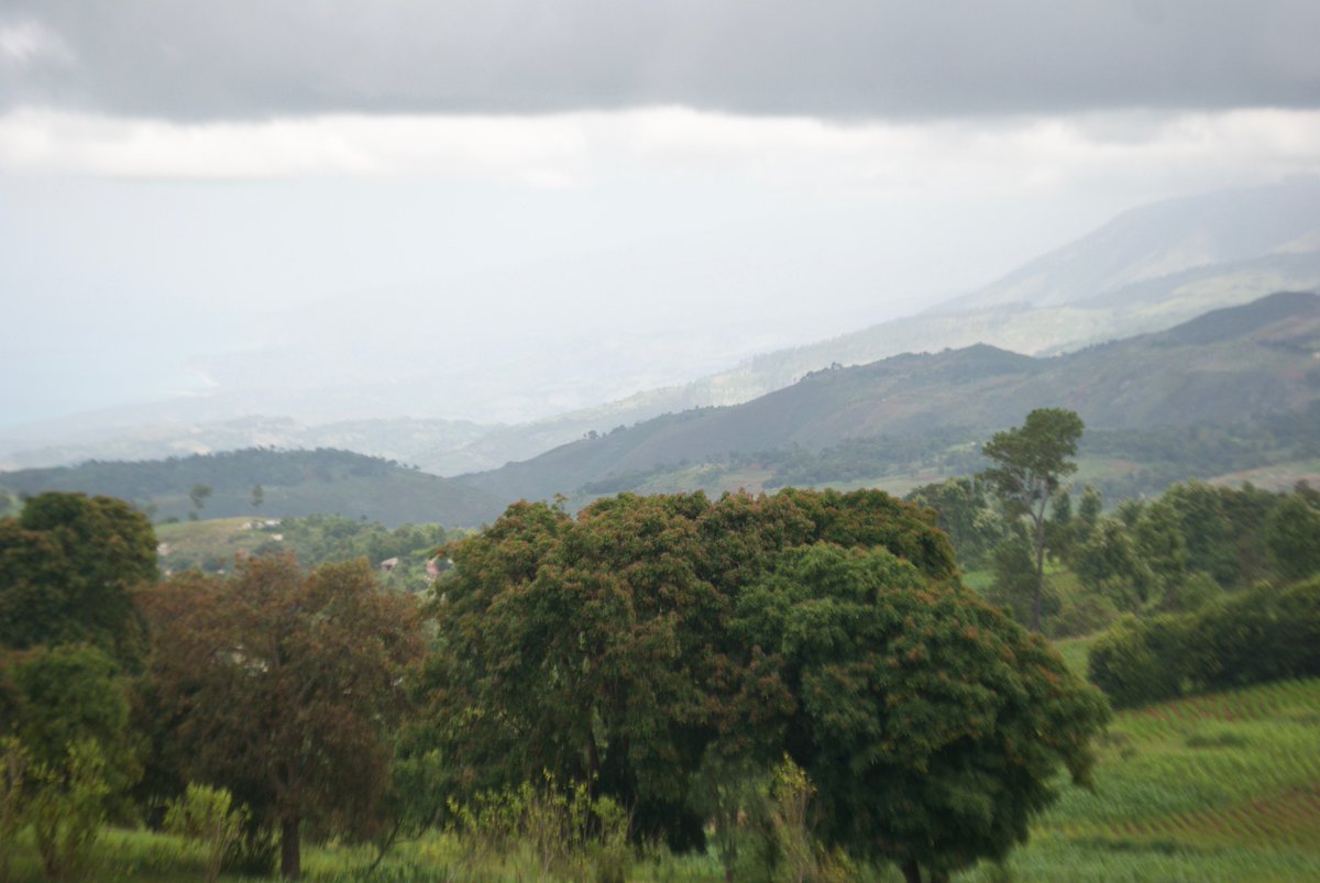 Love the views of the mountains in #haiti It's such a  peaceful feeling working on #specialtycoffee here.