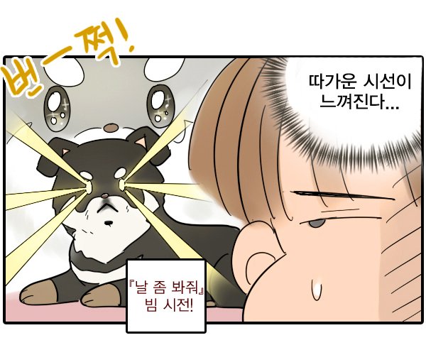 진짜멍 시즌2에 참여한 만화가 오늘 공개되었네요!
우리집 강쥐 보리와의 일상을 담은 
<왔다! 개 보리> 재밌게 봐주셨으면 좋겠습니다 >_<
https://t.co/H5vaoliVgG 
