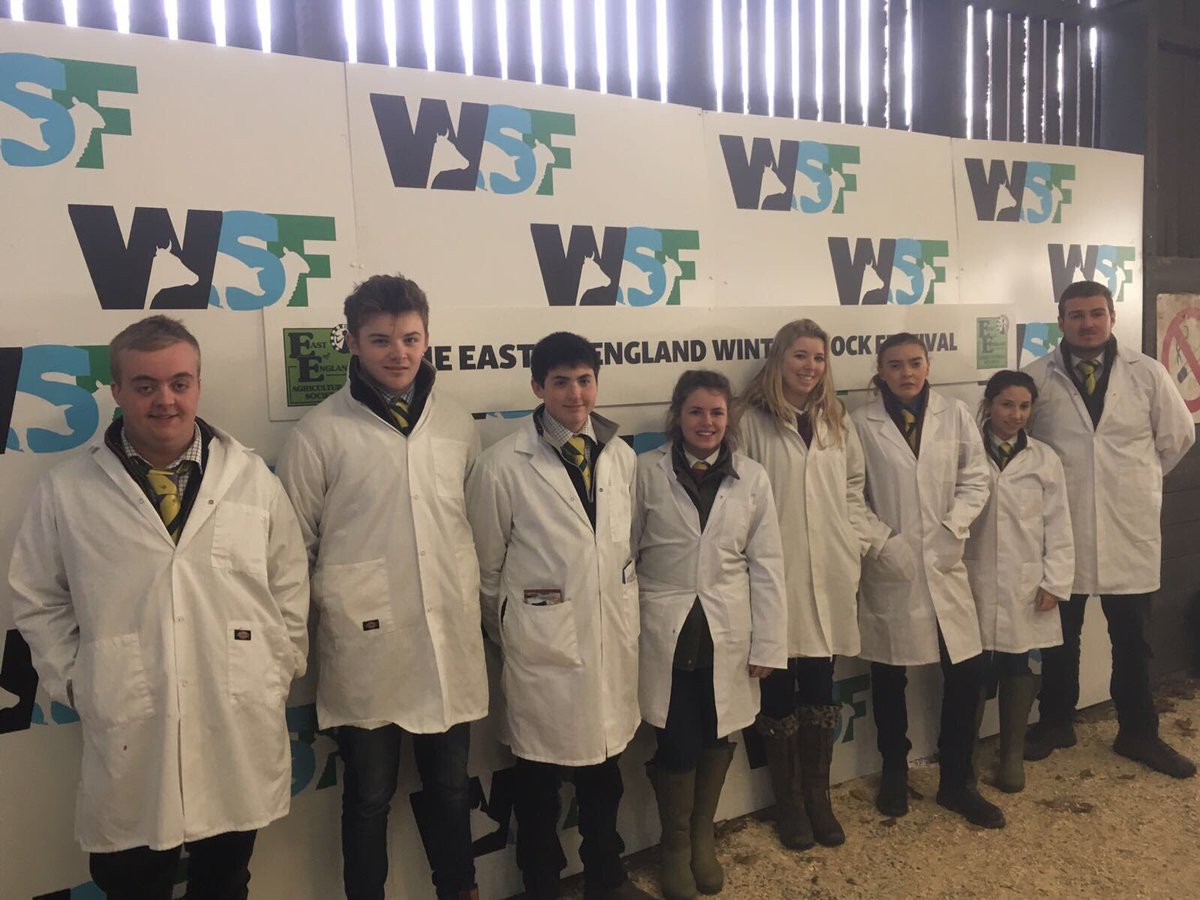 AskhamBryan's tweet photo. Our students had a fantastic time competing at @winterstockfest again! We’re already excited for next year. #WSF17 https://t.co/wuxmEuBJl9