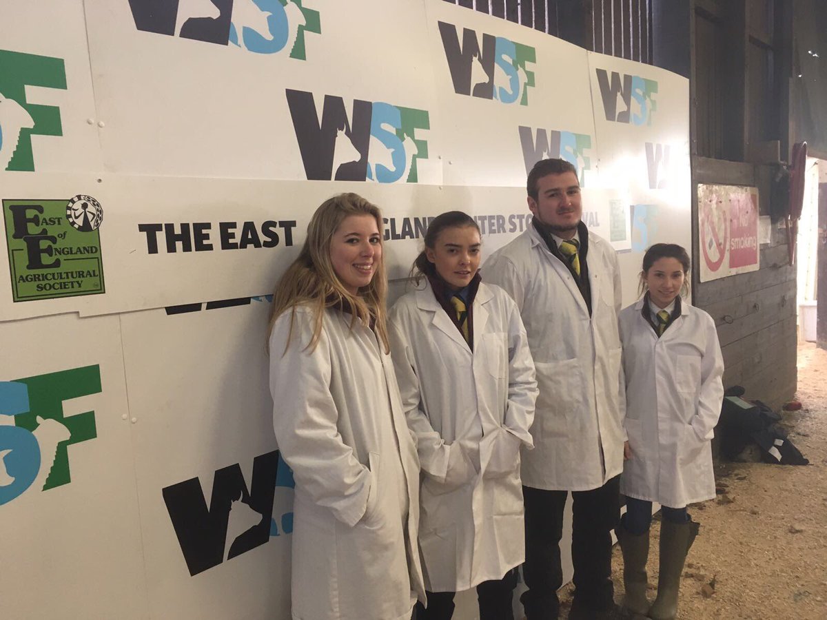 AskhamBryan's tweet photo. Our students had a fantastic time competing at @winterstockfest again! We’re already excited for next year. #WSF17 https://t.co/wuxmEuBJl9