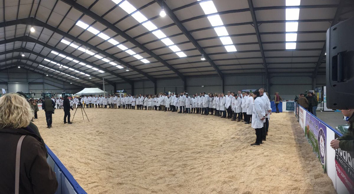 AskhamBryan's tweet photo. Our students had a fantastic time competing at @winterstockfest again! We’re already excited for next year. #WSF17 https://t.co/wuxmEuBJl9