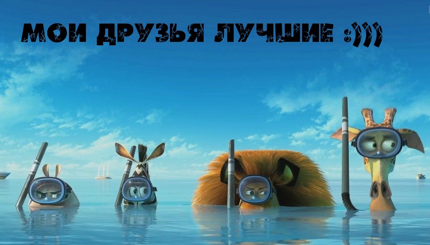 foofujd's tweet photo. Вот эти красавцы в свое время follow меня и  мы по сей день вместе! Огромное спасибо вам @waposhoot @kxbbvfockelie @ahmedmoosa786 @angiealbers Будем дружить и дальше! Всем рекомендую замечательных фолловеров в ваши компании. Увлекательные твиты и приятное общение! https://t.co/4XC7Owvb2J