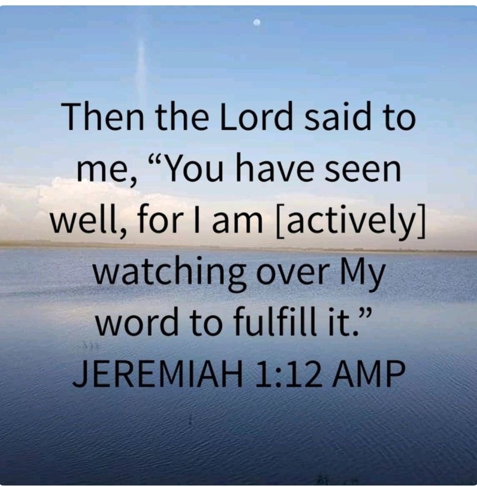 cbdemilo's tweet image. 