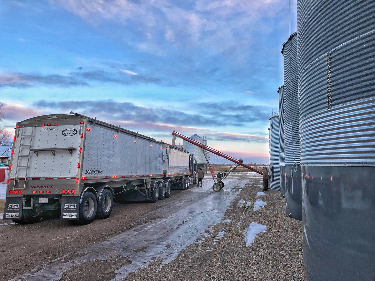 5thGenFarming's tweet photo. 3rd truck this morning with #cdcbowbarley off to #canadamalt 👍@AlbertaBarley @CombineToCraft @dodder11 https://t.co/Y7mWpKiA37