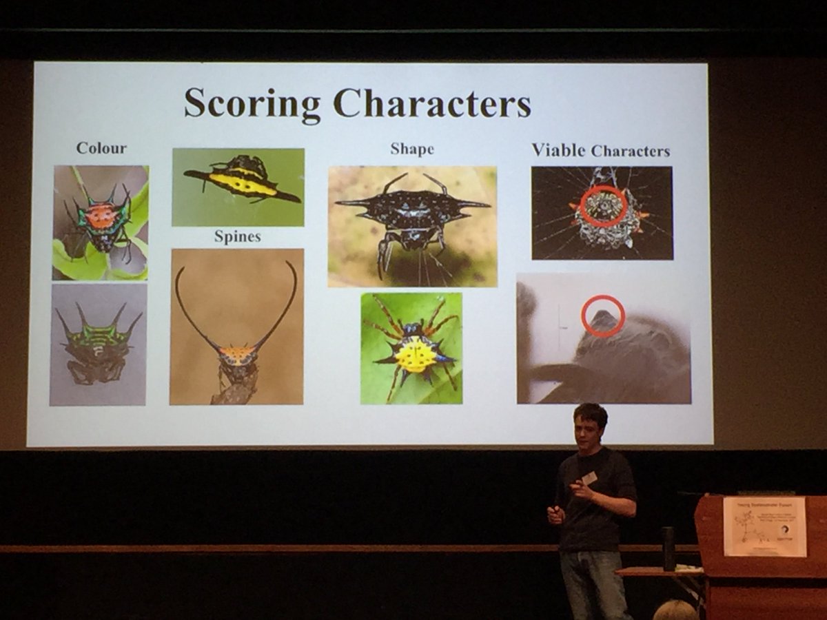 ZiaSca's tweet photo. Steven Williams at #2017YSF @SystAssn on the phylogeny and biogeography of the genus Gasteracantha: beautifully coloured spiders. https://t.co/0W9vvDa2GE