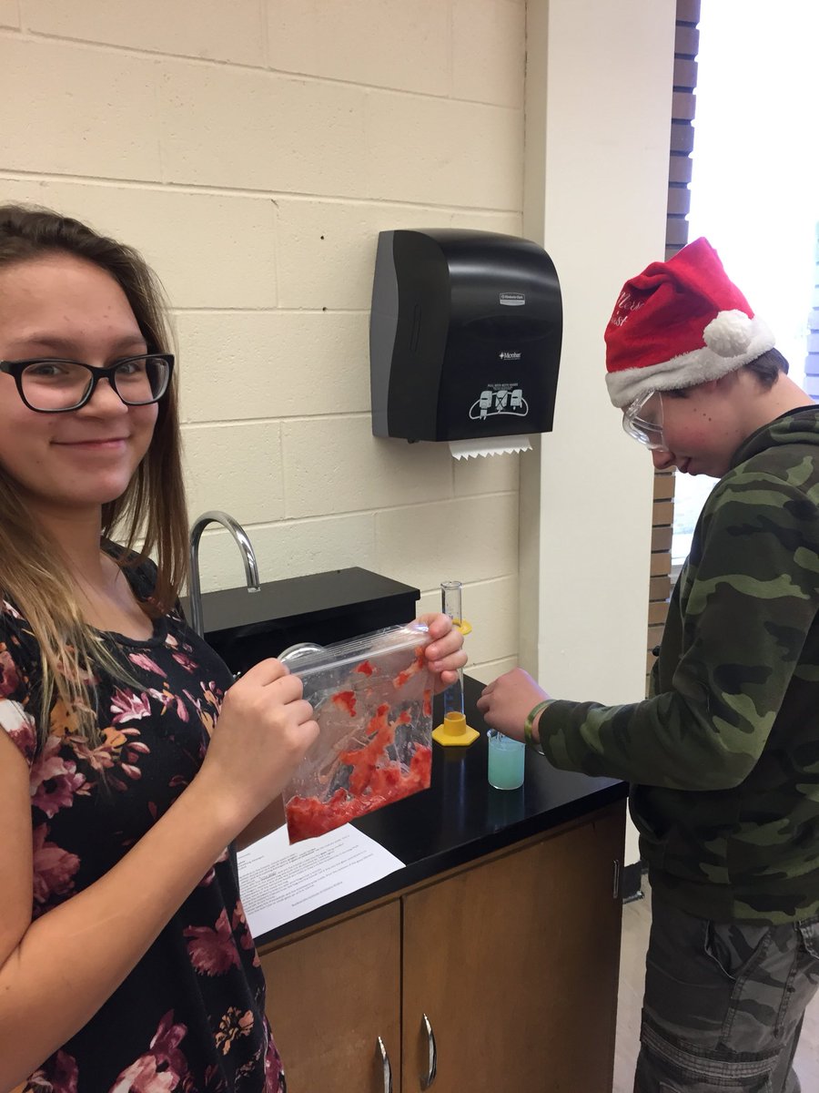 tarahaugen2's tweet photo. Extracting DNA from strawberries! Grade 9 Science is awesome!#yrhs https://t.co/6eOGPUKFfO