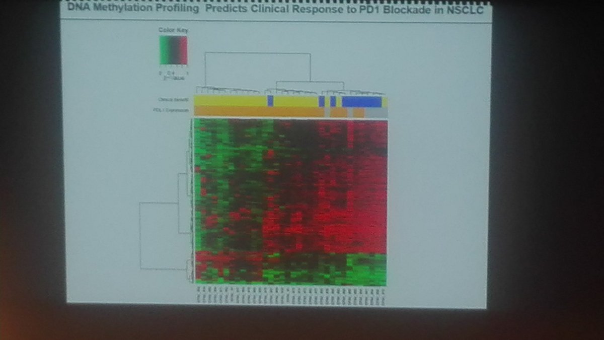 angelpanizo1's tweet photo. #UpdateMM2017 Utilidad de Epigenetica en cáncer de origen desconocido por Dr. Manel Esteller https://t.co/PqfpM3Hbk8