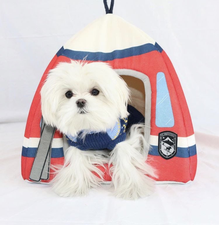 PetSmart tweet media