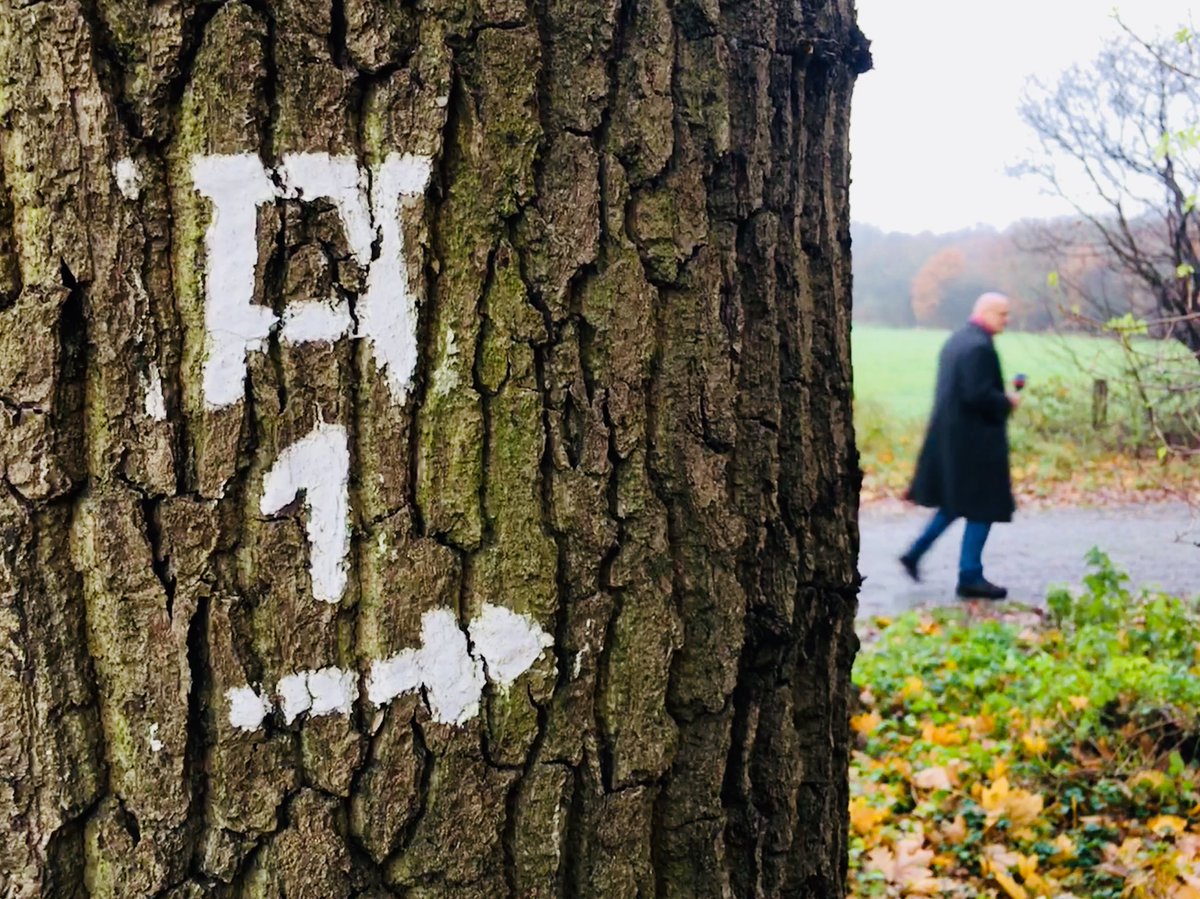 ChristianDassel's tweet image. was ich hier beim suchen finde, 
ist zwar keine buchen-rinde
und auch keine fichte,
aber ne geschichte.

#eins
#rotbach
#adventure.