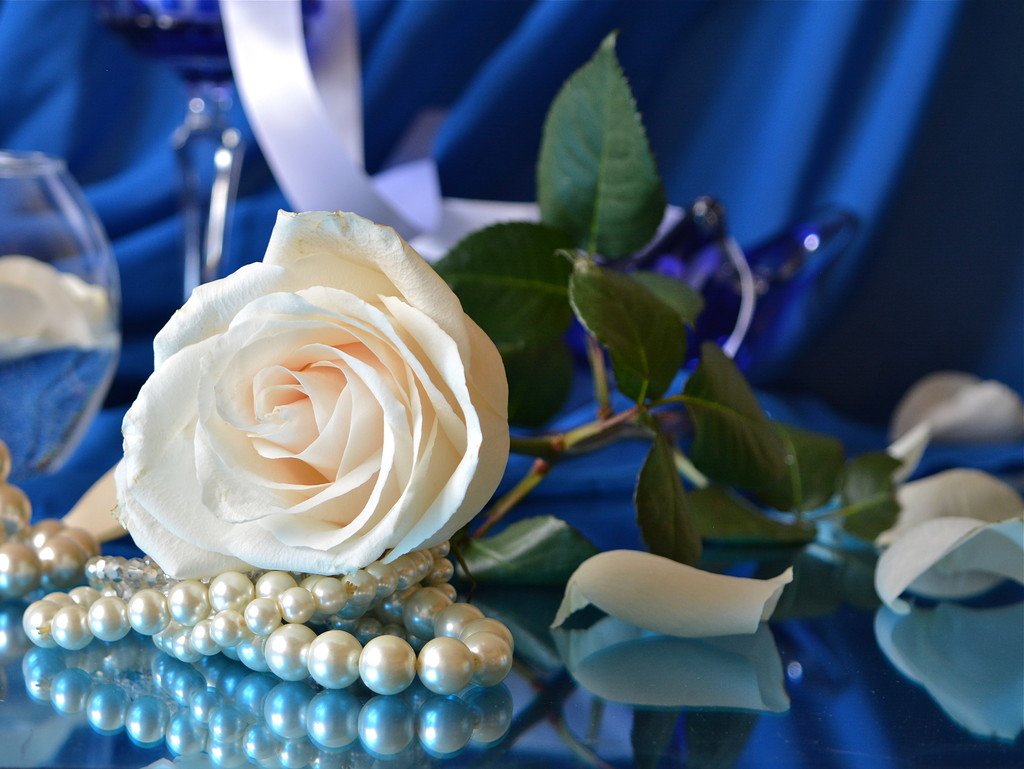 ARuleva's tweet photo. @CsertanAtilla @skp__2016 @She_Devil643 @MrMacarenaR @basantonan @peac4love @Just_Jacque_ @BioBonita @nightowls33 @Lauuu466 🙏😀😘 https://t.co/VUmMOojrop