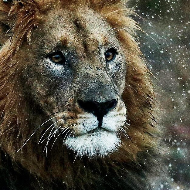 andbeyondtravel's tweet photo. Every storm runs out of rain. Get out and enjoy Mother Nature, rain or shine! @howard.cleland
#travelandbeyond #andbeyondphinda #friyay https://t.co/VS7lRAN4ie