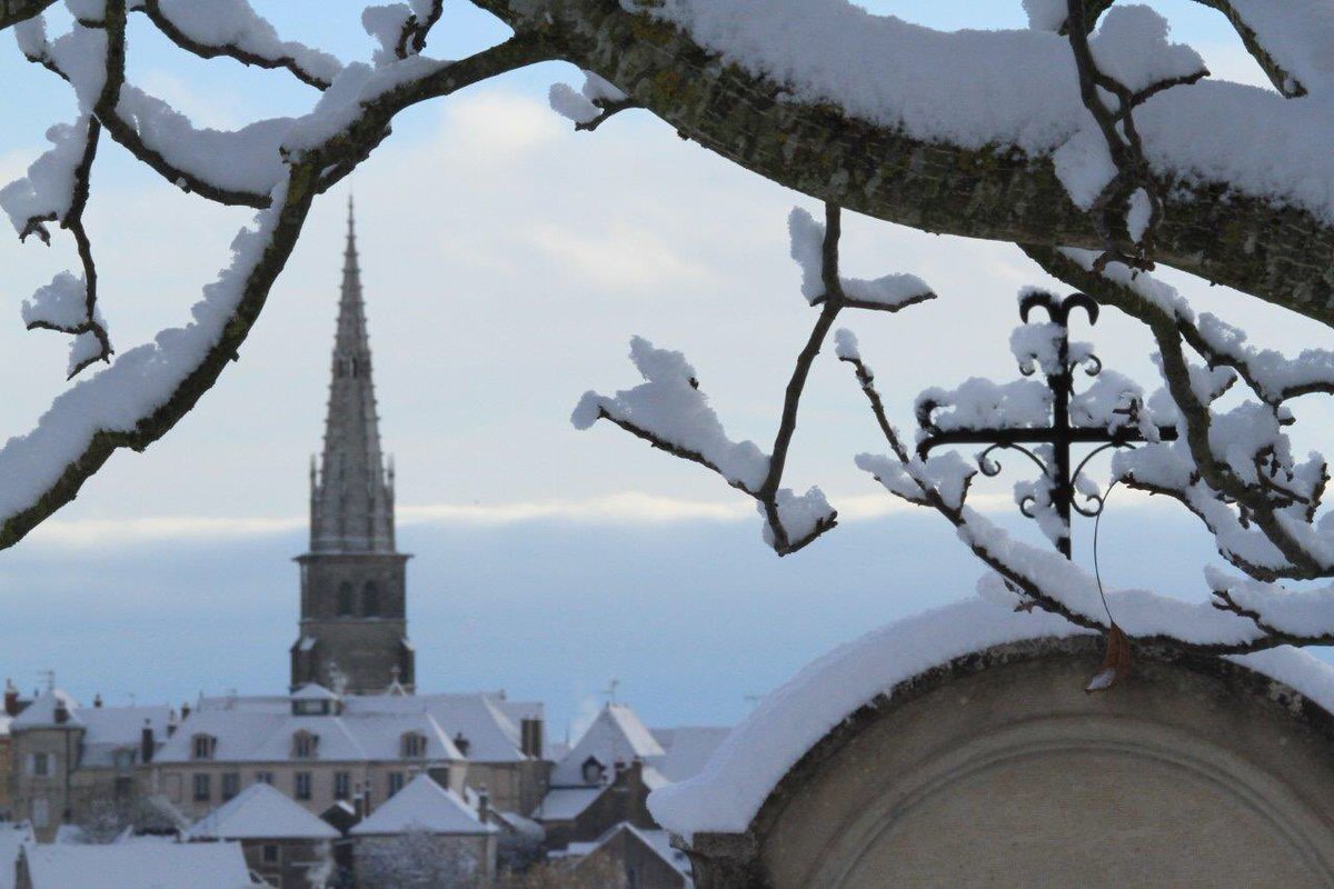 MOREY MEURSAULT tweet media