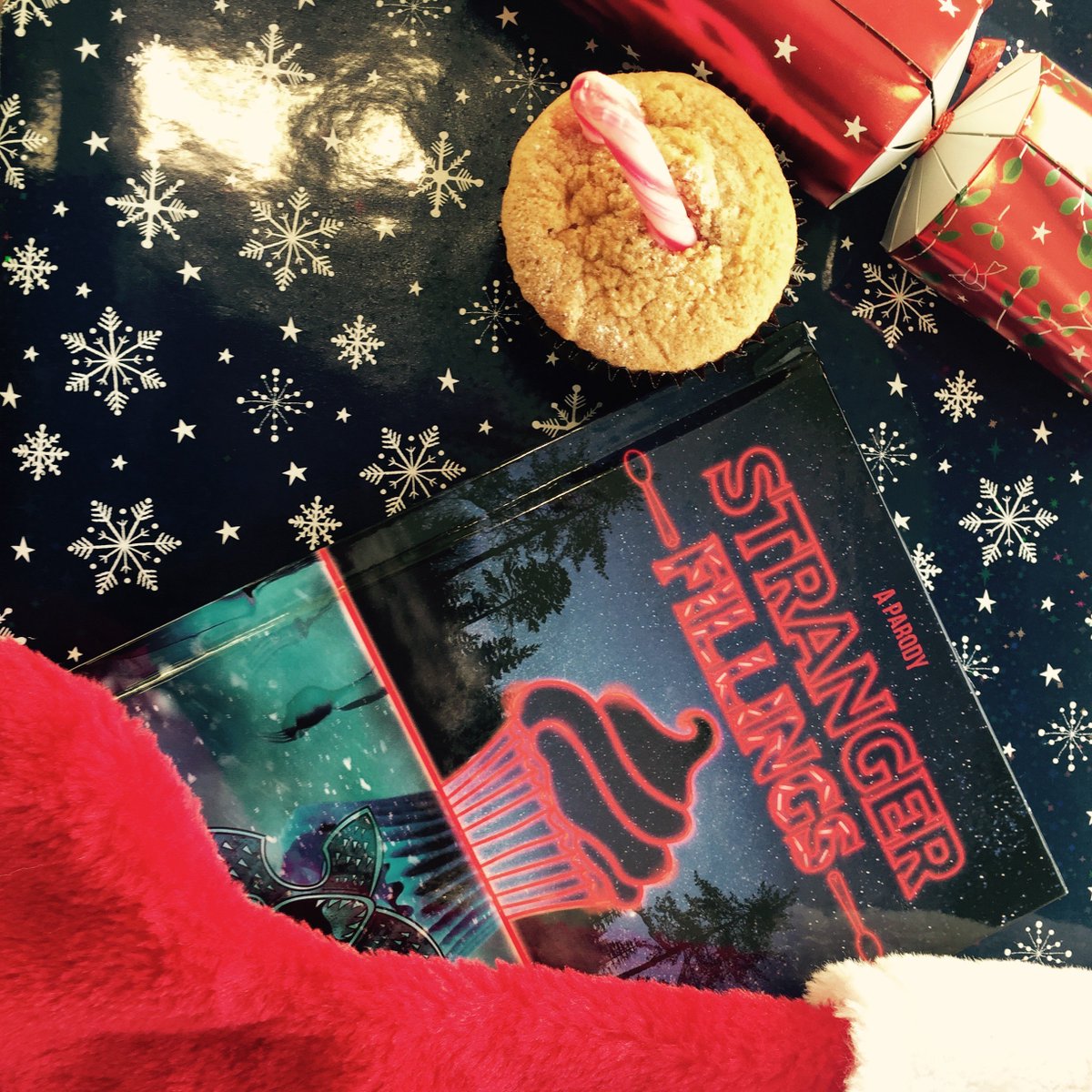 TrapezeBooks's tweet photo. It's day 3 of the #12DaysofTrapezeGiveaway and we're super excited to give away #StrangerFillings! Know any #StrangerThings fans? Follow us, like + RT for a chance to win! Winner announced at 5.30pm! https://t.co/DHHB8Wlh9C