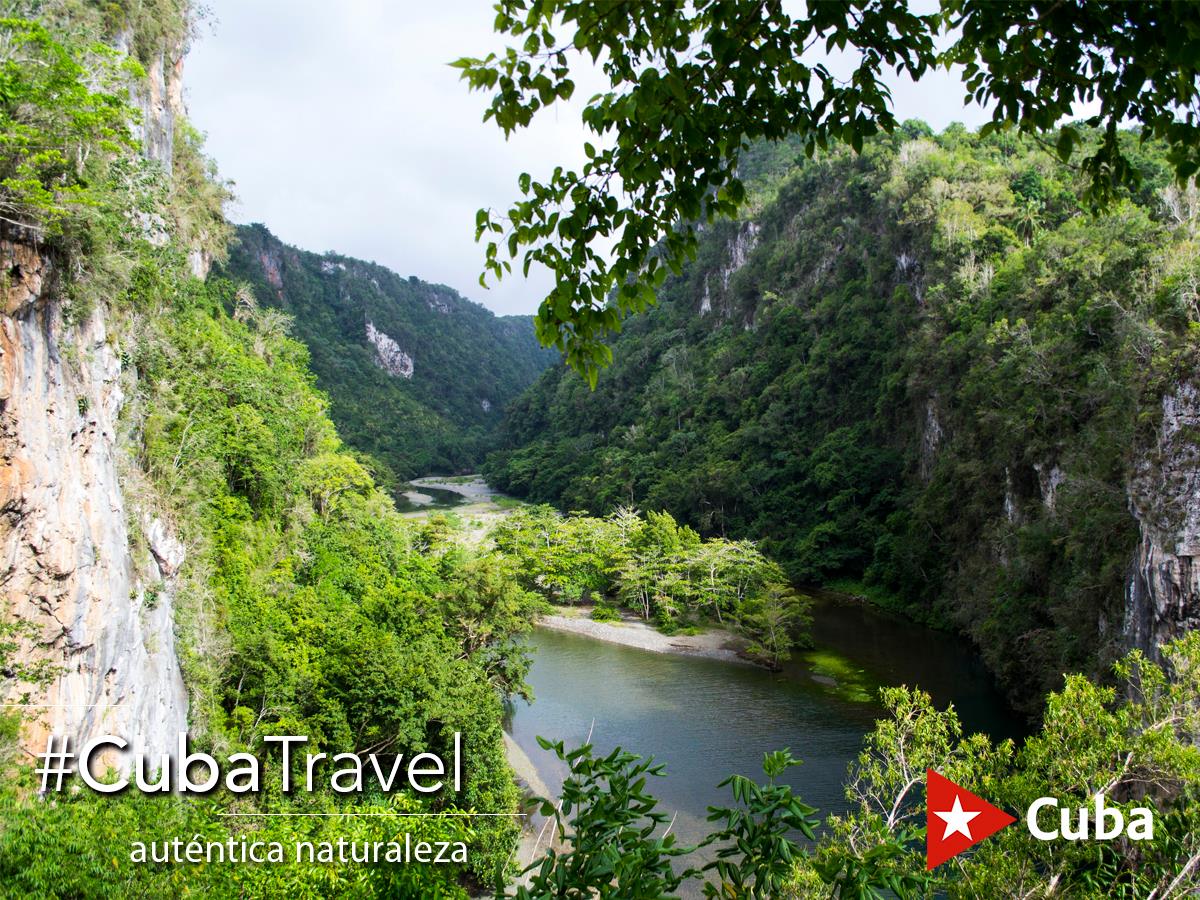 Gtmotravel tweet picture