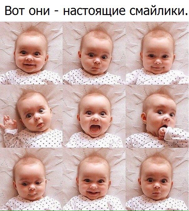 Kot_Balun's tweet photo. https://t.co/d99frUB4zp
