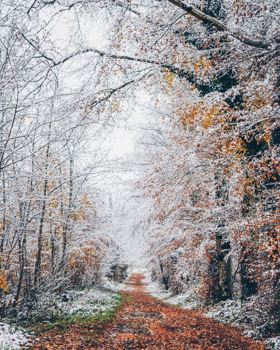 louisvizet's tweet photo. Quand t’as 30 minutes avant d’aller en cours et un appareil photo dans la voiture ❄️ https://t.co/50z8YLVcyj