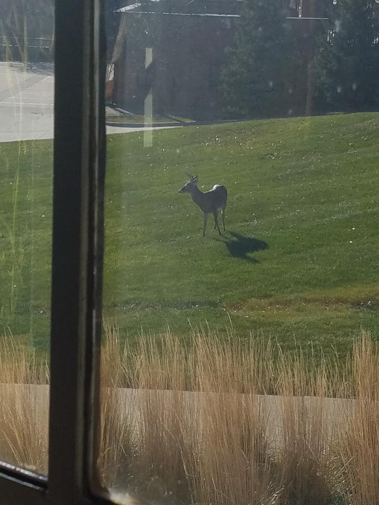 BuzzDiMezza's tweet image. Things ya see when you get to take over the president's office for the day! #Integerfun