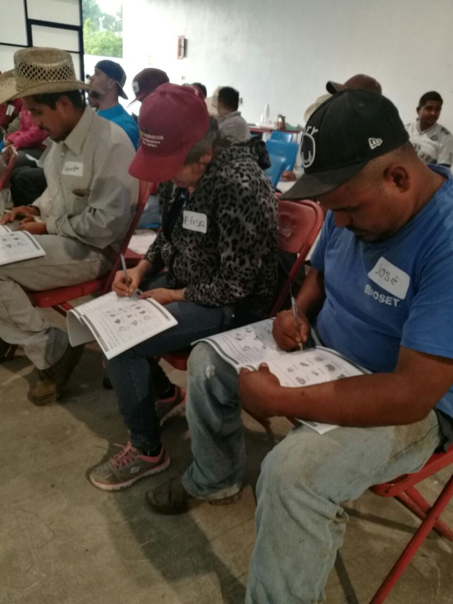 EvaluadorJose's tweet photo. Taller de alineación en EC0481 Cosecha de berries el 28 y 29 de noviembre en Zamora, Michoacan @PerlaIbaez2 @LeticiaInca @linosma @Mely_Romero @incarural https://t.co/N7mtbo0sN5