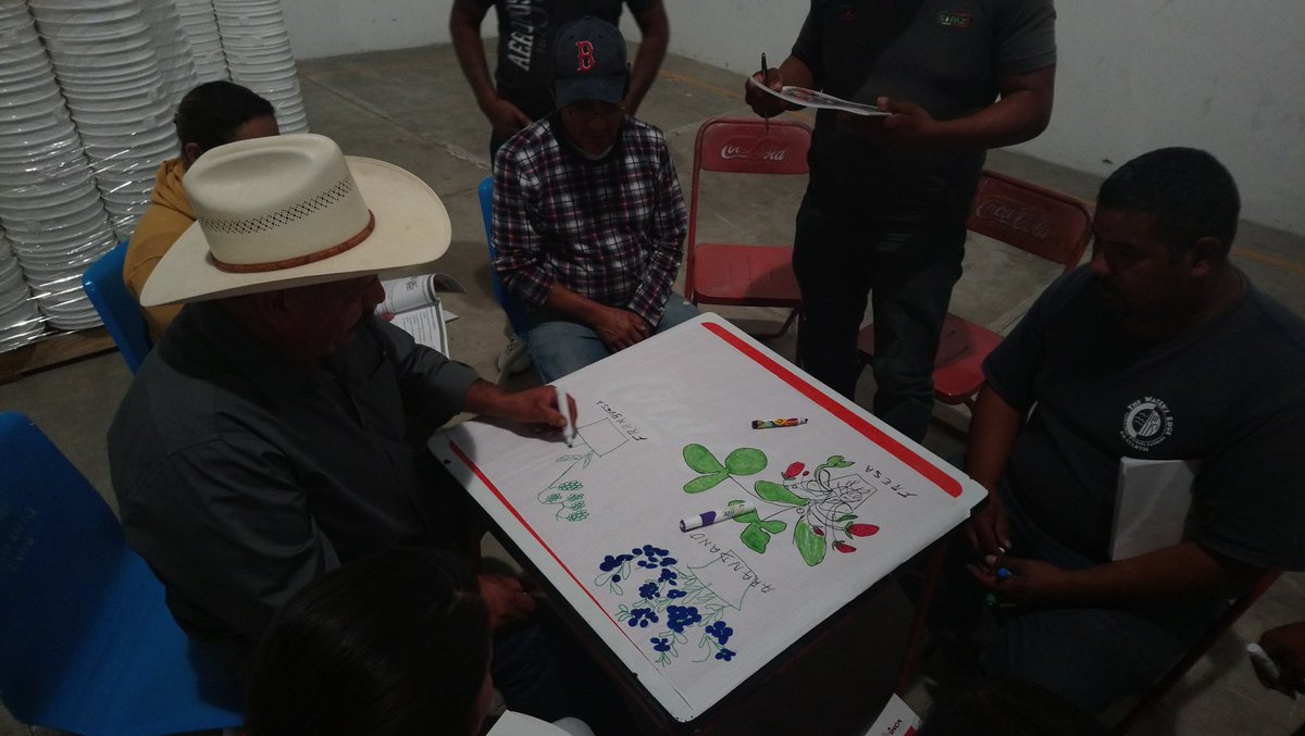 EvaluadorJose's tweet photo. Taller de alineación en EC0481 Cosecha de berries el 28 y 29 de noviembre en Zamora, Michoacan @PerlaIbaez2 @LeticiaInca @linosma @Mely_Romero @incarural https://t.co/N7mtbo0sN5