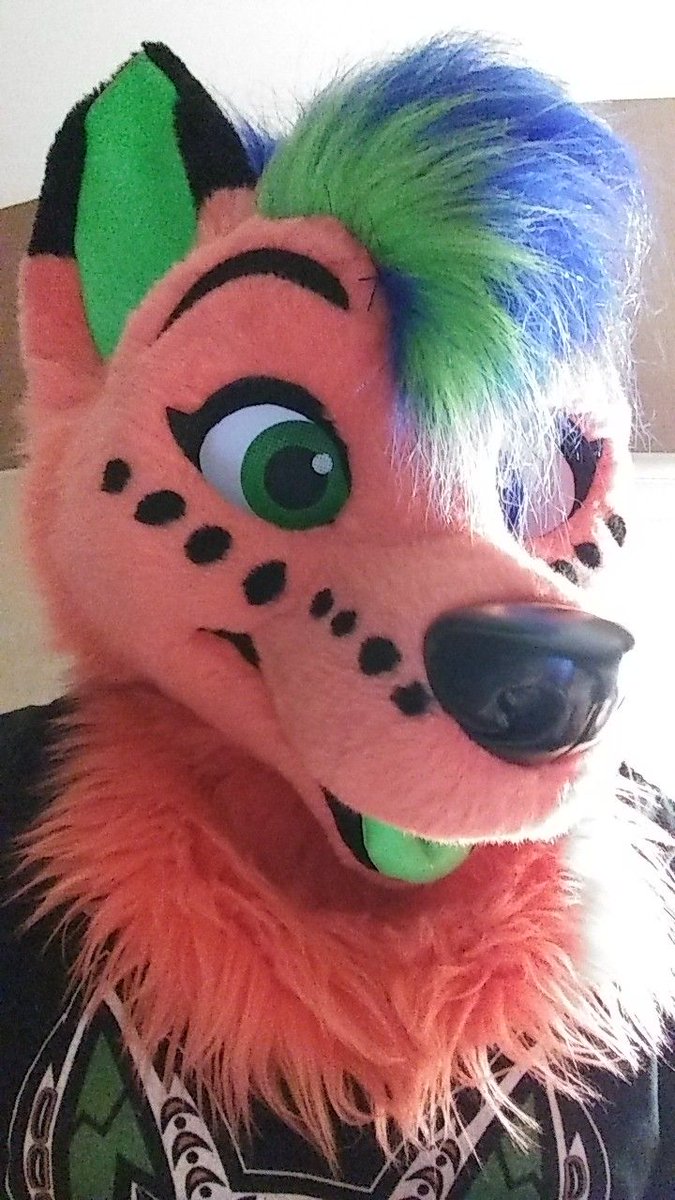SorneFox's tweet photo. Look for this fox at MFF!
#MMMFFFF https://t.co/jYNEQb1w8r