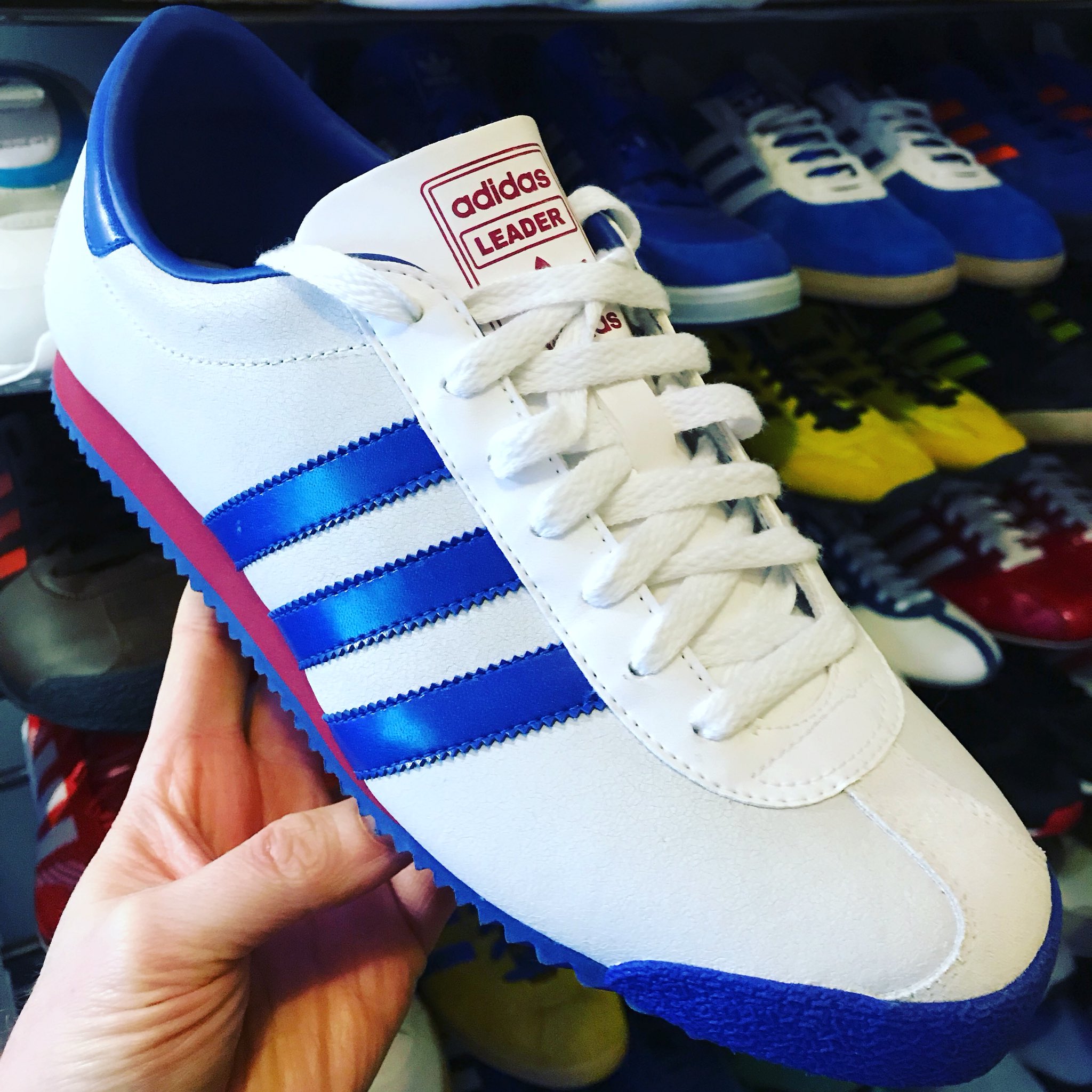 Sumergir Reclamación apelación AdiSneakerFreak on Twitter: "Leading into the weekend... Adidas Leader  ///😉👊 #adidas #adidasoriginals #adilove #adidasleader #adidascollector  #adidascollection @transalpino @adidasUK @adidasoriginals @DeadstockUtopia  @IAMDEADSTOCK @lacesoutfest ...