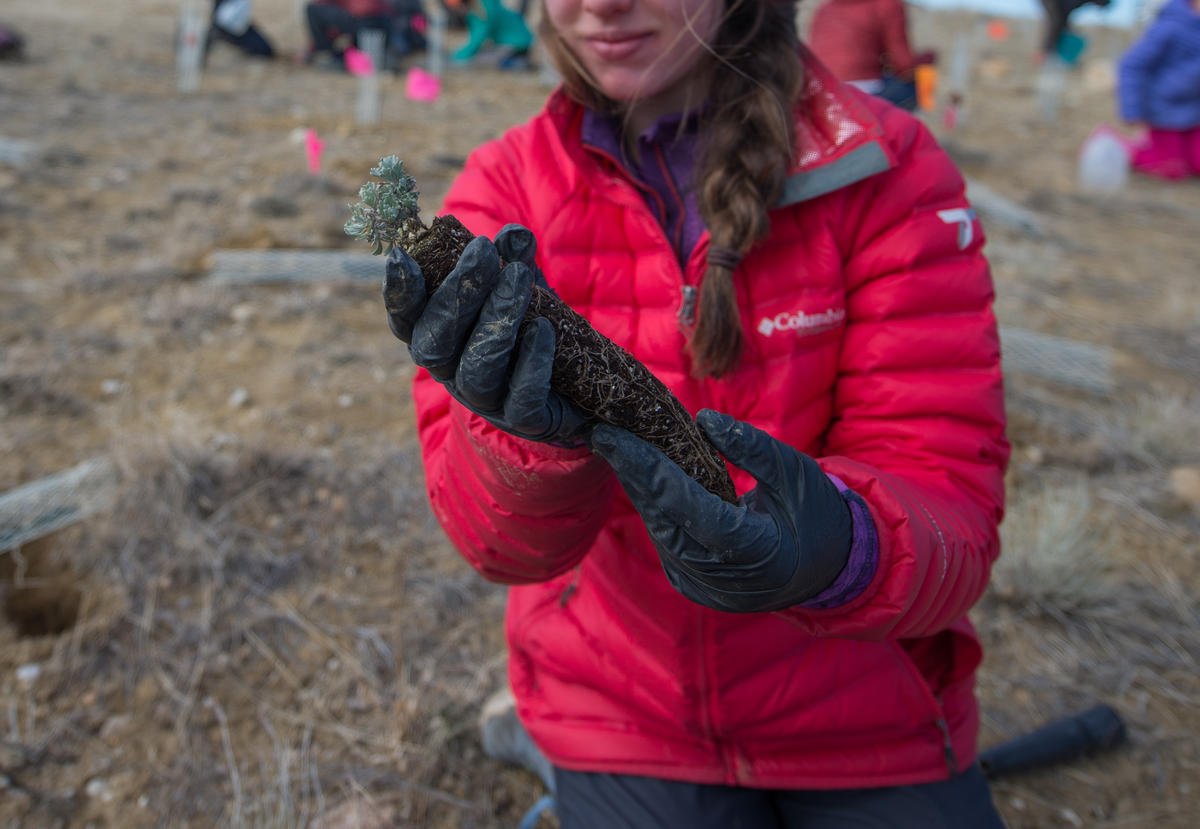 Middle School Kids Help Reclaim Abandoned Mine: bit.ly/2ivobJX | Great story about collaboration in Fremont County from <a href="/WYPublicRadio/">Wyoming Public Radio</a> with <a href="/BLMWyoming/">BLMWyoming</a> <a href="/Fremont1_LMS/">Lander Middle School</a> <a href="/nature_org/">The Nature Conservancy</a> <a href="/wyoming_deq/">Wyoming DEQ</a>.