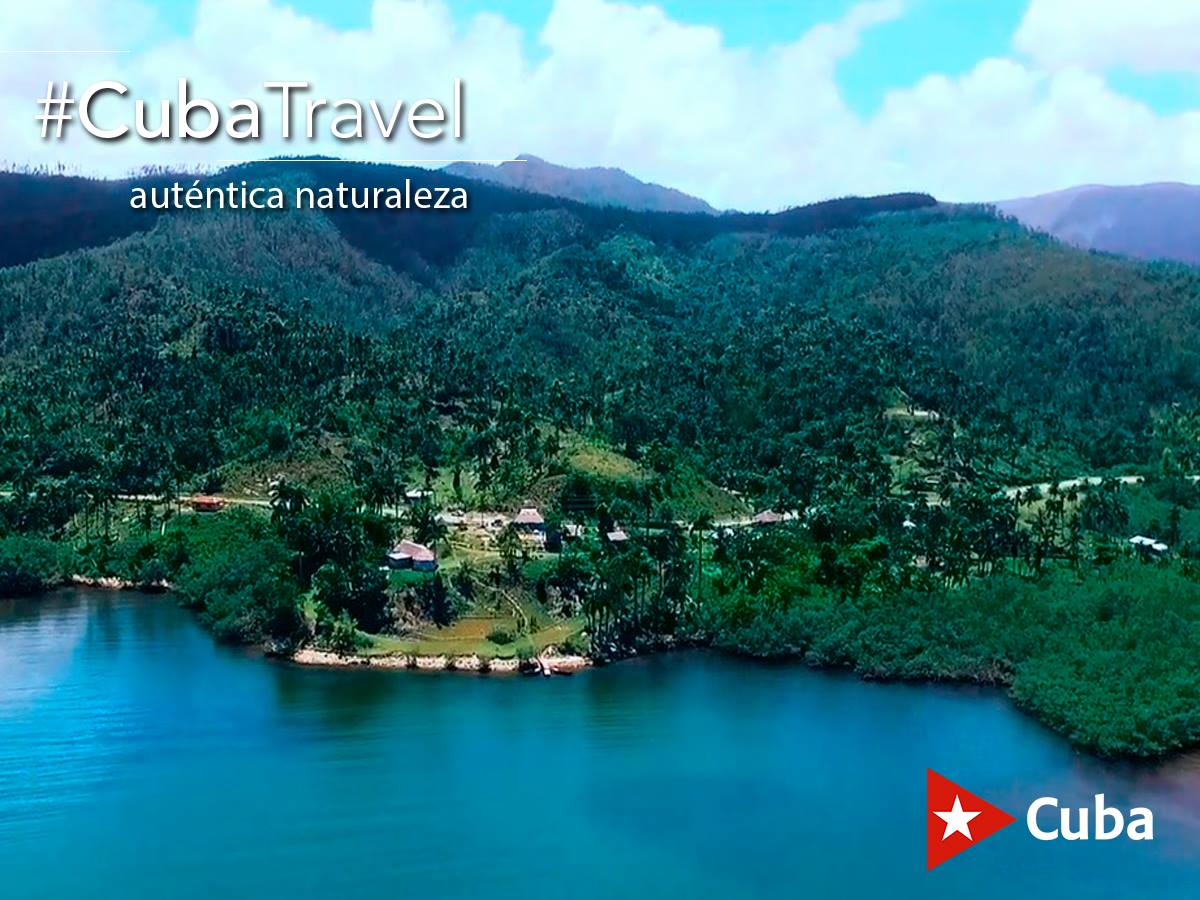 Gtmotravel tweet picture