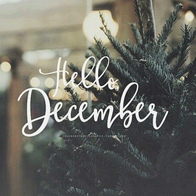 YesMaxon's tweet photo. Make it a December to Remember ! Make your move to #maxonautogroup and check out our #tremendousdecember deals ! 🎅🏼 https://t.co/TRfI587gHt
