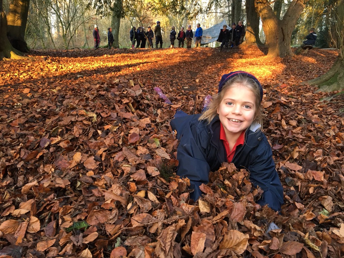 BrealyAmanda's tweet photo. Pupils @Rendcombjuniors @RendcombCollege kept warm at #forestschool by keeping active, sweeping a huge leaf pile together with their broomsticks & then they took it in turns to have a go at #leafjumping #outdoorlearning #outdoorfun https://t.co/01ql3TNOVx