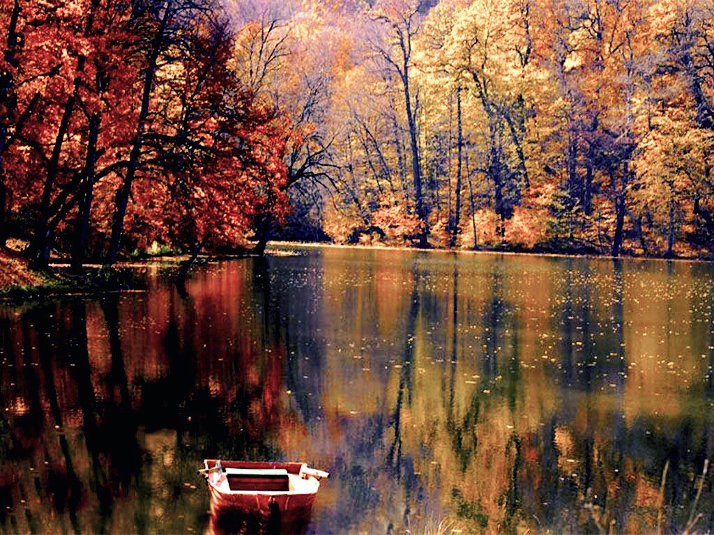 hayphotoapp's tweet photo. Lake Parz in #Armenia. Parz means simple and simple is beautiful. #shotoniphone #editedwithhayphoto #hayphoto #nature #photography #Dilijan #autumn #December1st
Go to https://t.co/B4QqWOF6GD to learn more. https://t.co/fIBnTGbiLz