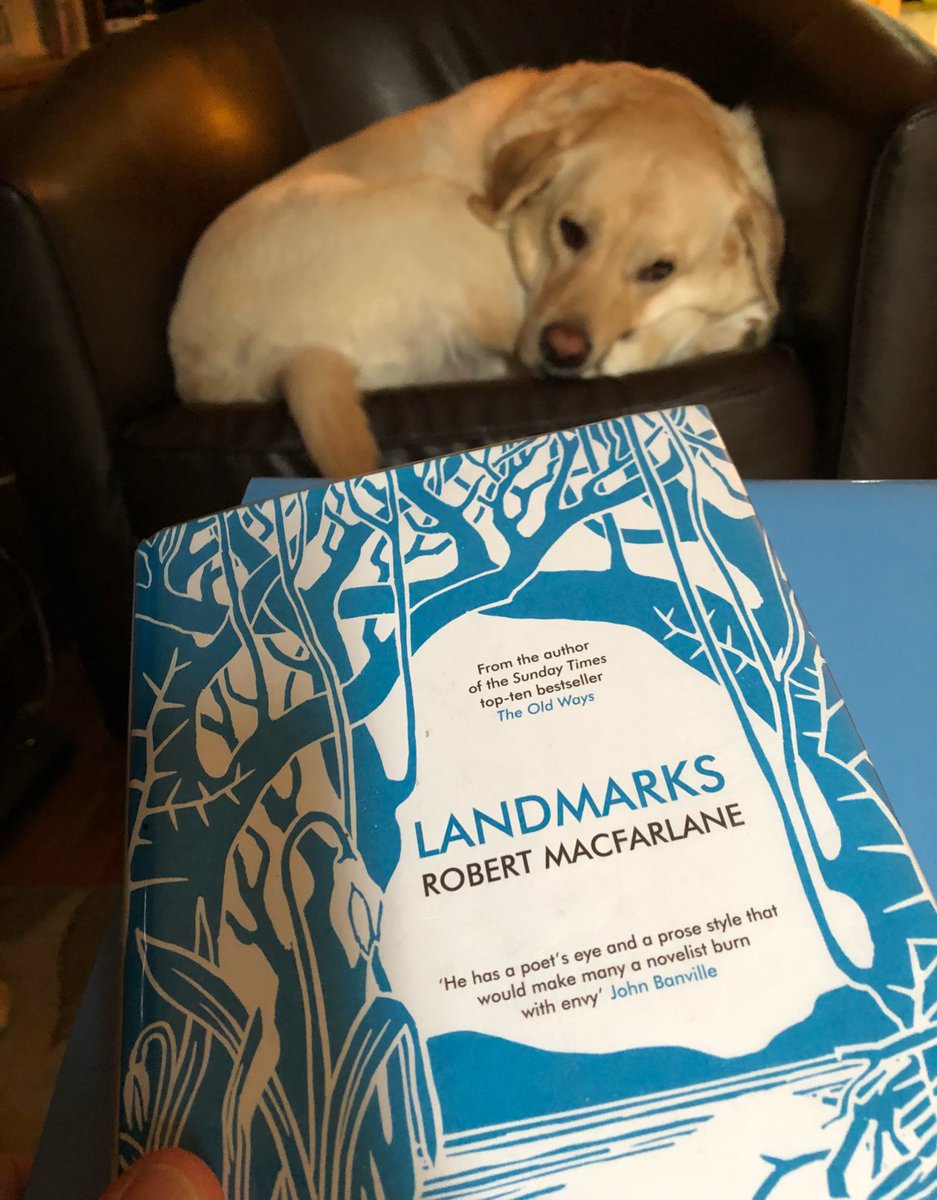 cindiforeman's tweet photo. Look at what arrived @opl_bpo Main branch today Lexington! It’s @RobGMacfarlane’s “Landmarks”
Can’t wait!
#WordHoard #Landscape #Nature https://t.co/r2y8mnyTpy