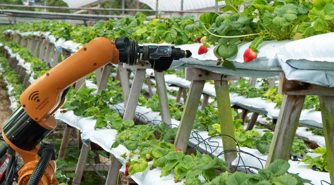 BioenterpriseCA's tweet photo. Farm Robotics startups are a captivating segment of the agrifood technology sector, partly because robots are fascinating to watch, but also because the problems they solve are pressing, not least the issue of labor. @pma #farmrobotics #agtech https://t.co/E9i8VTYMAx @AgFunder https://t.co/7NBHmTnDjU