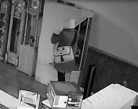 WCSOOregon's tweet photo. Help us catch this thief!🕵️‍♀️The person caught on 📷wearing this very unique shoulder bag stole more than $25k of jewelry! 📞503-846-2500 with tips! #helpcatchthegrinch https://t.co/27xfx43BXD