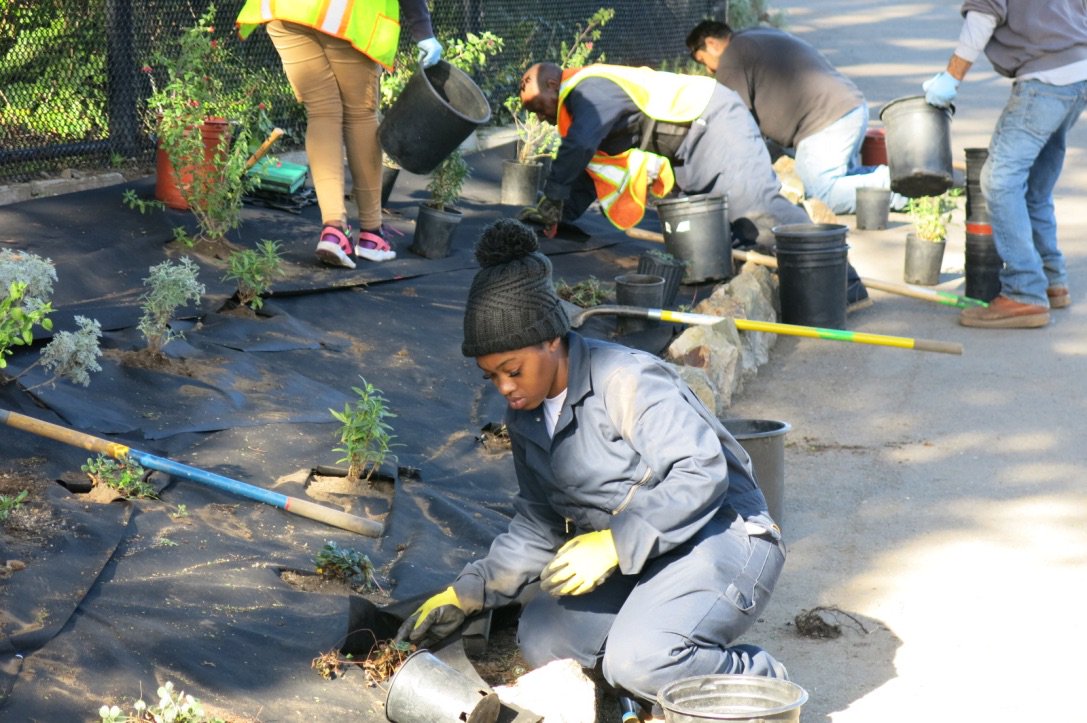 SFGardenProject's tweet photo. Earth Steward Trainees making progress at Sunset Reservoir! @SFWater https://t.co/Ba6PJkhURH