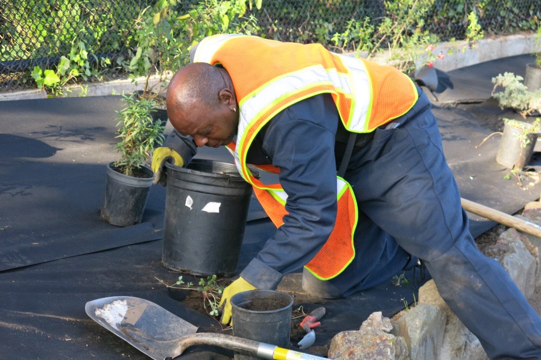 SFGardenProject's tweet photo. Earth Steward Trainees making progress at Sunset Reservoir! @SFWater https://t.co/Ba6PJkhURH