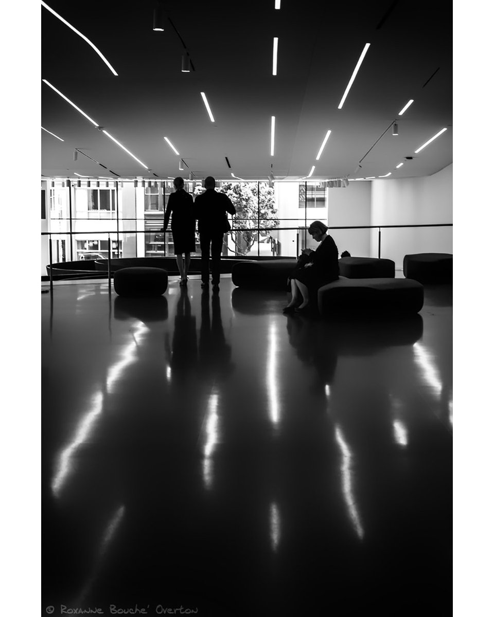 roxanne_overton's tweet photo. https://t.co/4XCoITwuj0 – where you will find more photography and information on my instructional photography books.
#artphotography #fineartphotography #contemporaryphotography #goodlightphotographypage #california #visitcalifornia #sanfrancisco #sf #sfguide #49miles https://t.co/8LuMOPdphi