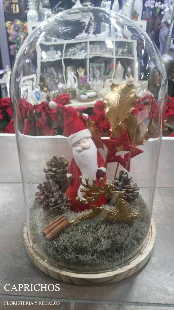 florescapricho's tweet photo. Una urna muy #navideña, un precioso #regalo o un detalle navideño diferente en casa... La #Navidad en un preciosos montaje. 
Realiza tus reservas en el Tlf 91 605 06 07. 
#FloristeriaYRegalosCaprichos #Parla https://t.co/yXXXwI63Dm