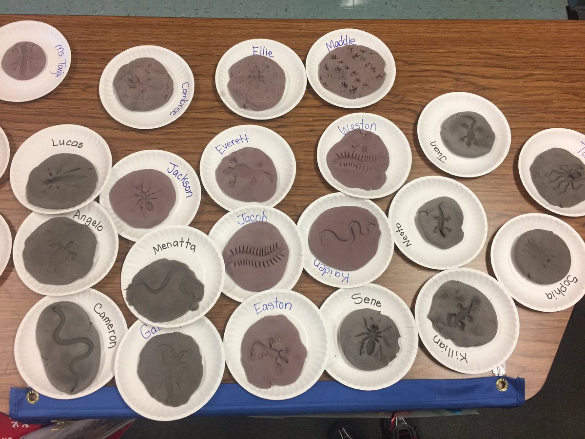 Lisa36916545's tweet photo. From playdough to fossils. On to paleontologists! #GattisRISE @GattisRRISD https://t.co/jymnYnoTT0