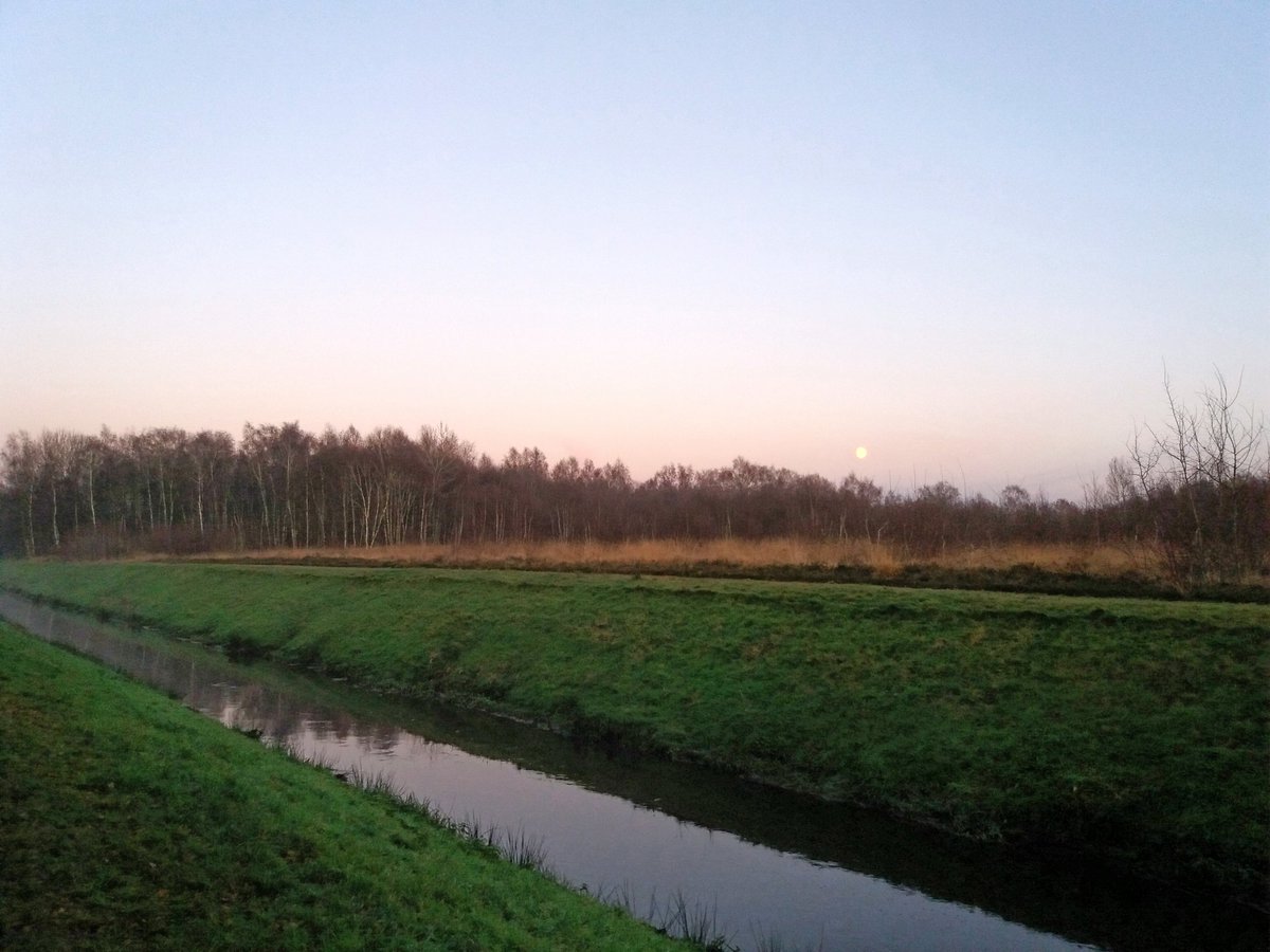 Take a little walk with my dog