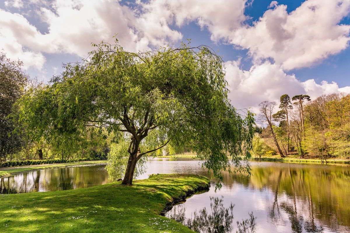 1Candy1Man's tweet photo. Missing #April 2017 there were some really pretty days so green and blue it hurts to see it now. #Hever-@hevercastle, #Painshill-Park and #Riegate Hill, the year has gone so fast. #500pxrtg https://t.co/ekdHRLaY0j