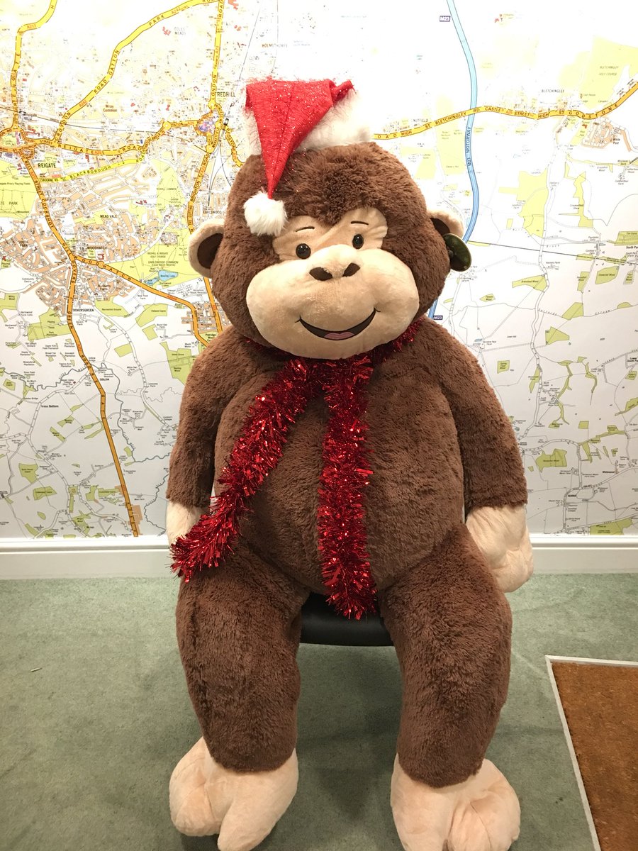 RobertLeechEA's tweet photo. It’s the #Reigate Christmas Fayre tomorrow! FREE colouring competition in our office to WIN Monty the Monkey - come &amp; join us for festive refreshments while your little ones get creative ... https://t.co/R7ok45oNB6