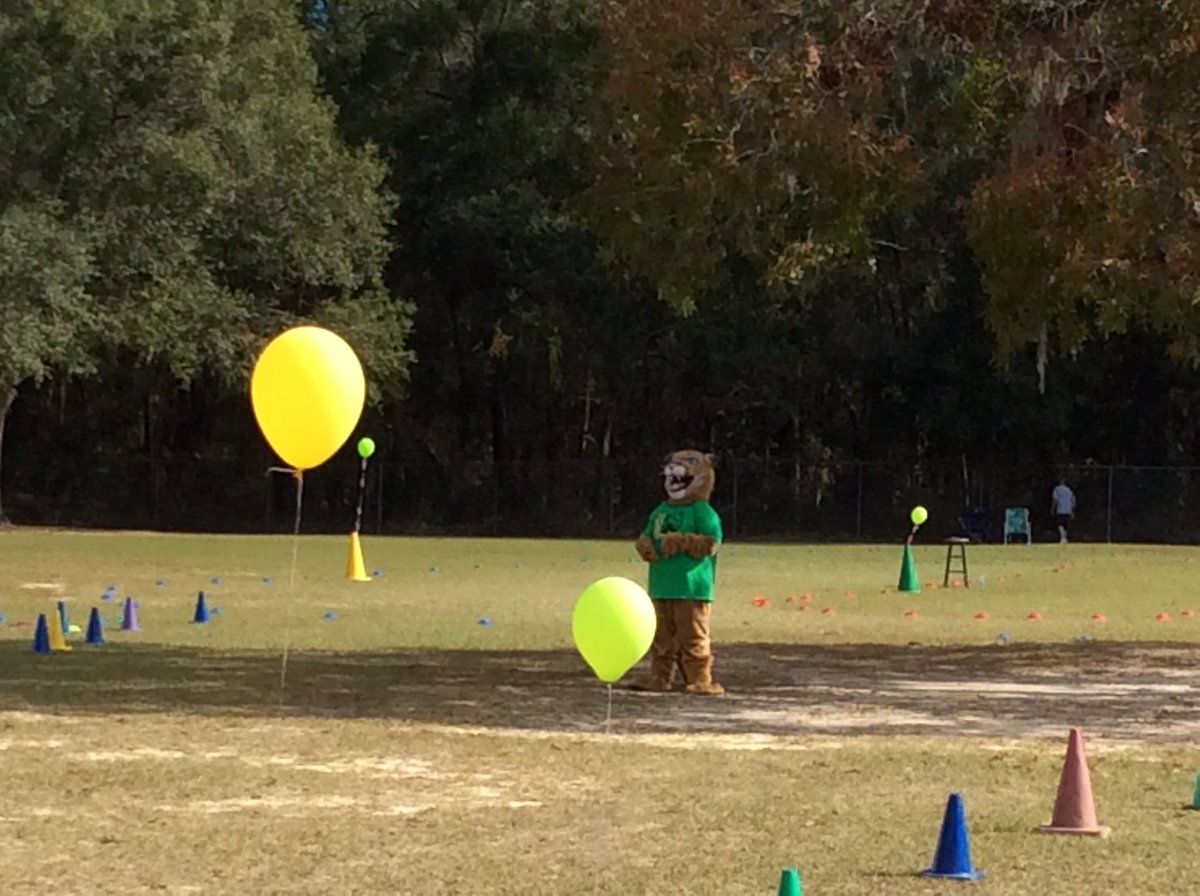 CSwistack's tweet photo. #celebratelps Our Panther Fun Run is off to a great start! You can do it 2nd graders! https://t.co/GQVChOHKBN