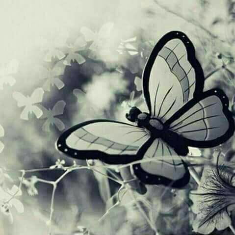 لن يلقي الله أمنية في قلبك إلا وقد وهبك القدرة على تحقيقها لا يجعلك الله تتمنى شيئا لتظل الحسرة بقلبك بل ليعطيك ثق بذلك واسعى لأجل أمانيك فالله معك ولن يحرمك منها💛🕊