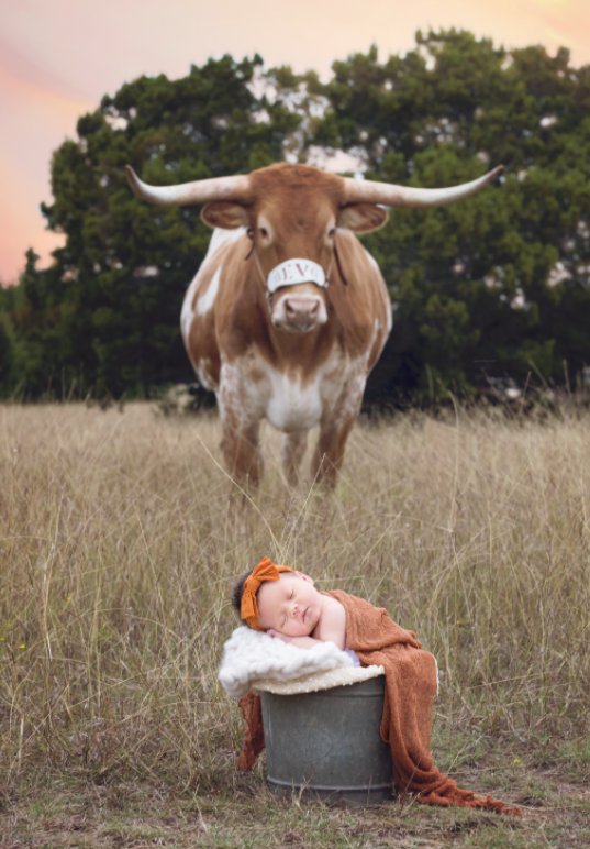 jay rutherford (@jayrutherford) | Twitter