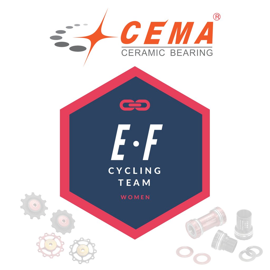 Cemabearing tweet media