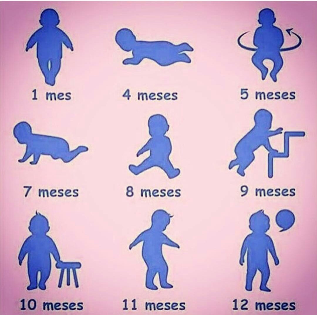 horaculo_ms's tweet photo. Para info de algunos, que les hace falta https://t.co/dTR3ah4DSQ