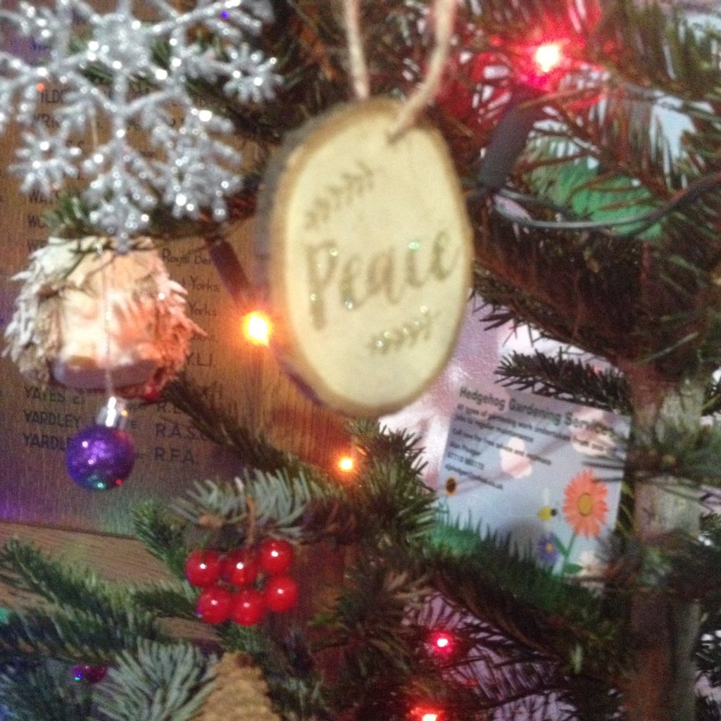 Tuesday Social Club tweet media